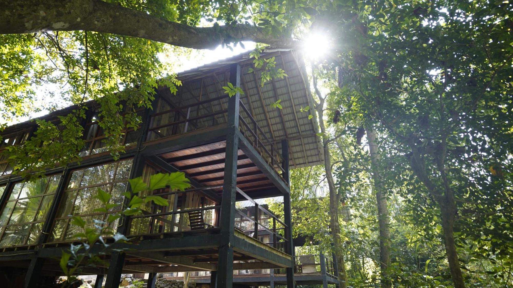 Ella Jungle Resort מראה חיצוני תמונה