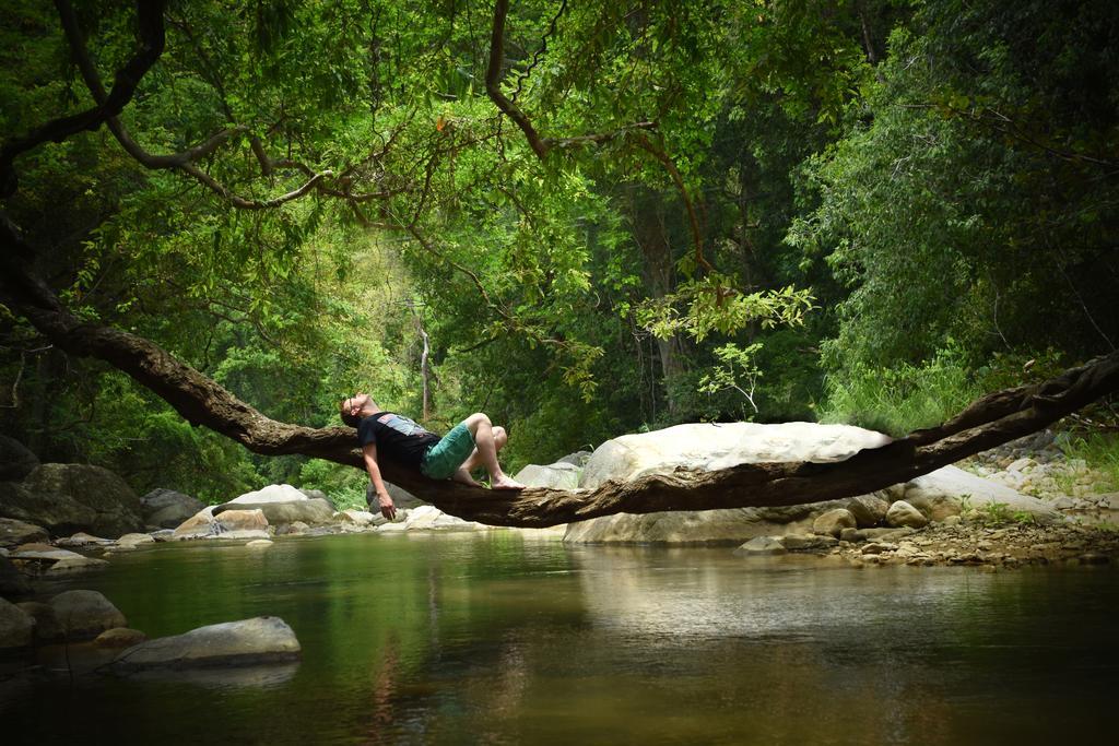 Ella Jungle Resort מראה חיצוני תמונה