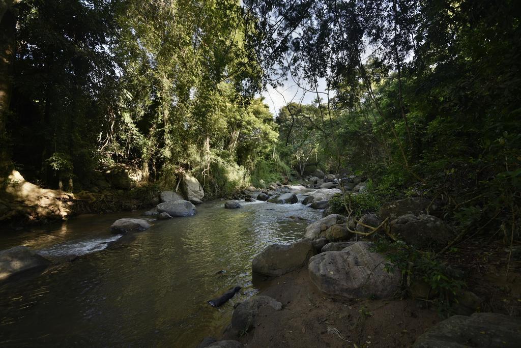 Ella Jungle Resort מראה חיצוני תמונה