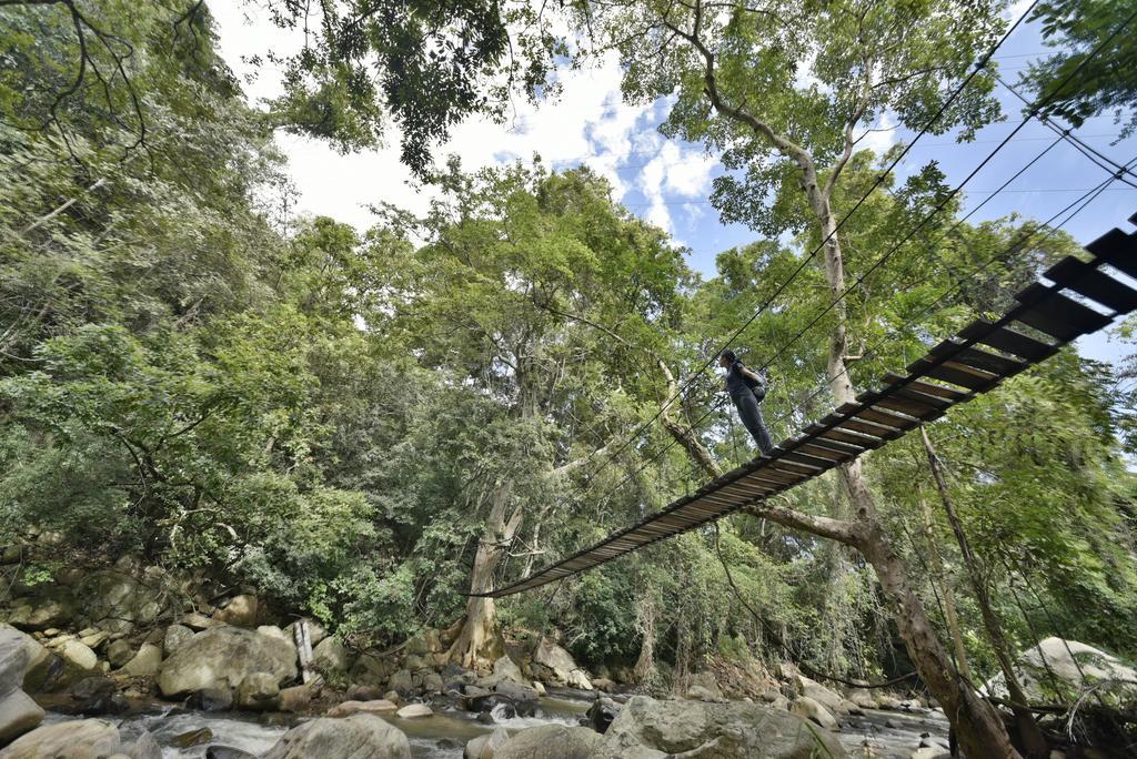 Ella Jungle Resort מראה חיצוני תמונה