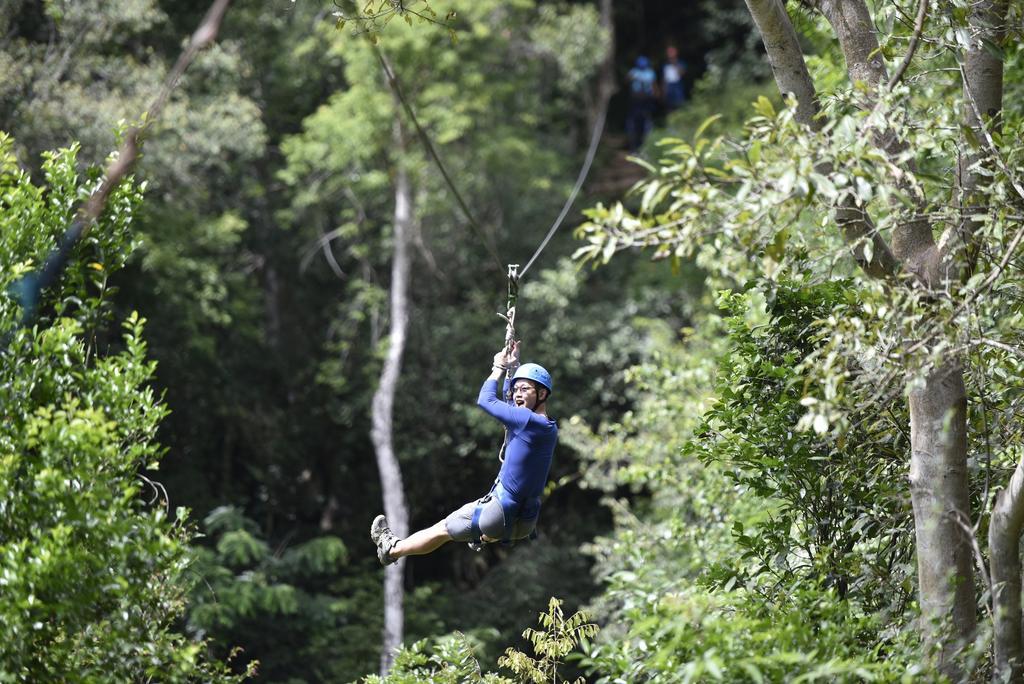 Ella Jungle Resort מראה חיצוני תמונה