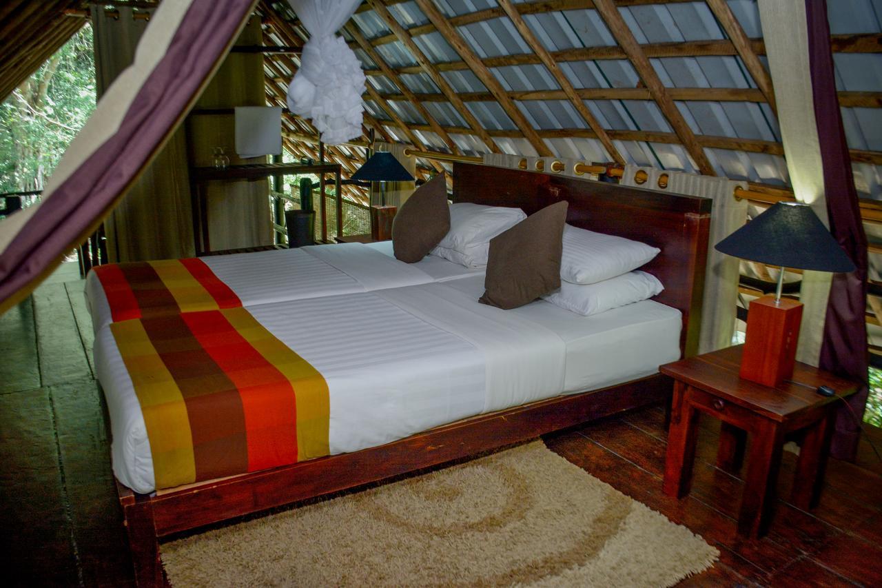 Ella Jungle Resort מראה חיצוני תמונה